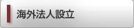 海外法人設立サポート